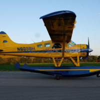 1951 DEHAVILLAND DHC-2 - Image 4