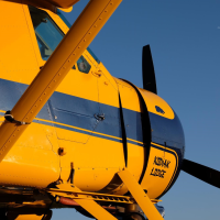 1951 DEHAVILLAND DHC-2 - Image 5