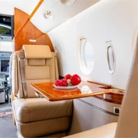 2009 GULFSTREAM G150 - Image 10