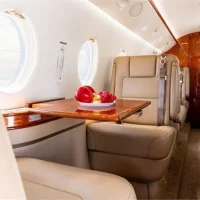 2009 GULFSTREAM G150 - Image 6