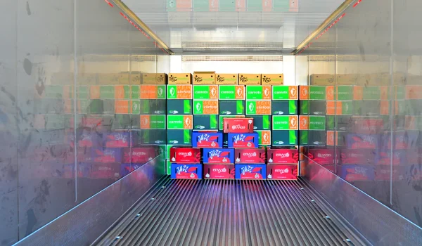 Reefer Blueberries (Refrigerated Cargo)
