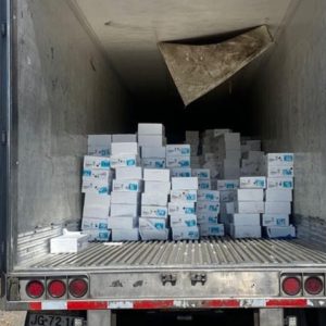 Frozen Salmon (Fish) Frozen Cargo