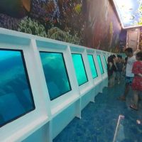 Glass Bottom Boat/Day Cruiser - Image 4