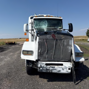 2009 Kenworth T800